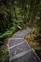 024 Lake Matheson